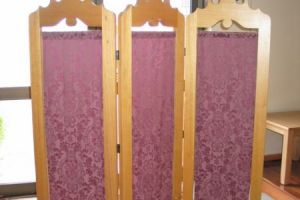 Unique VictorianAshroomscreen.30