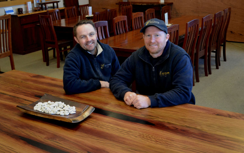 new-pic-edited-cropped